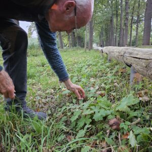 Rondleiding Paddenstoelen op de Paltz met Rob Chrispijn