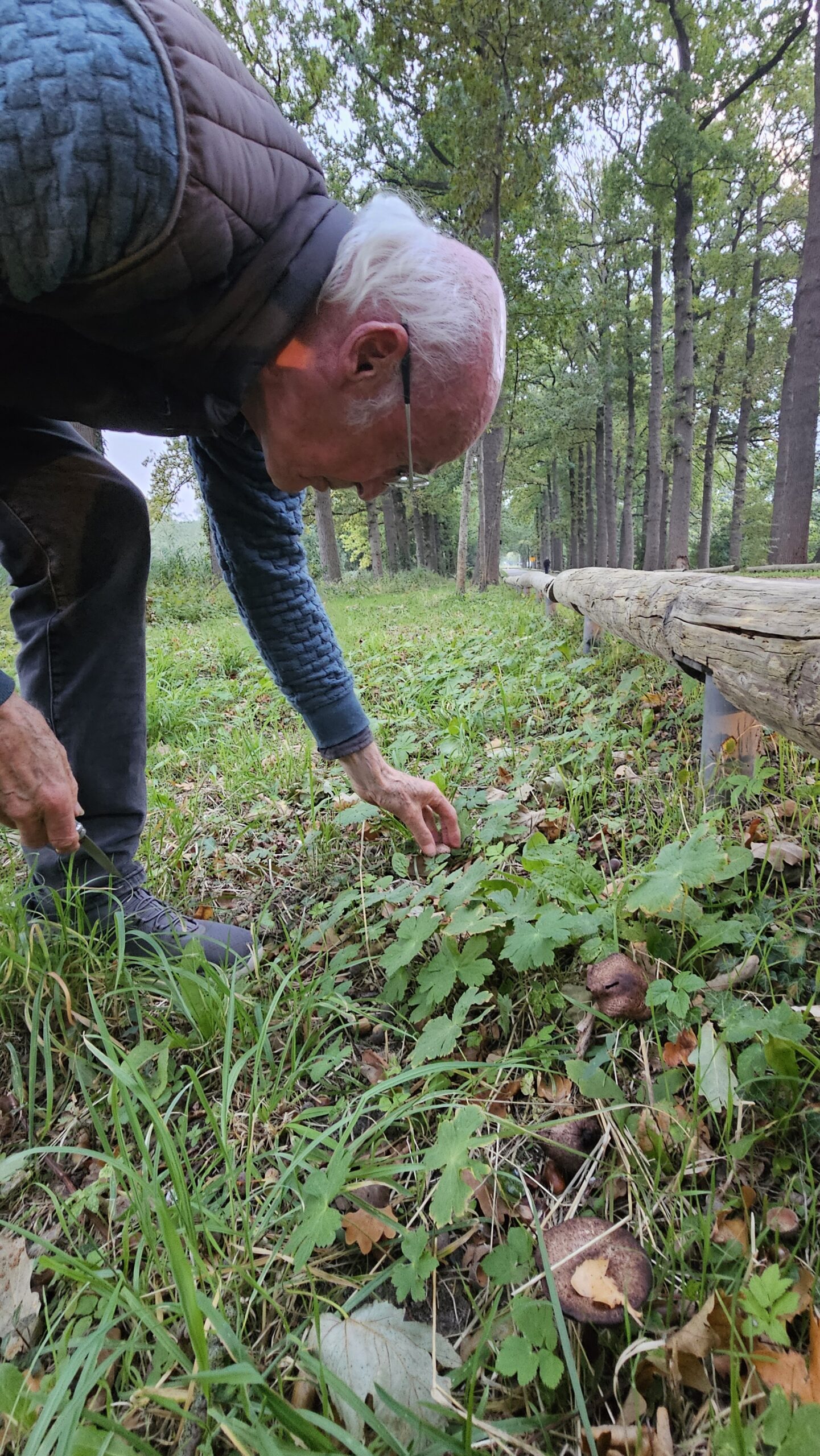 Rondleiding Paddenstoelen op de Paltz met Rob Chrispijn