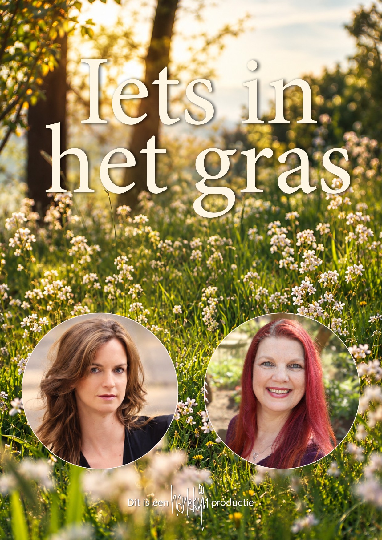 Iets in het gras