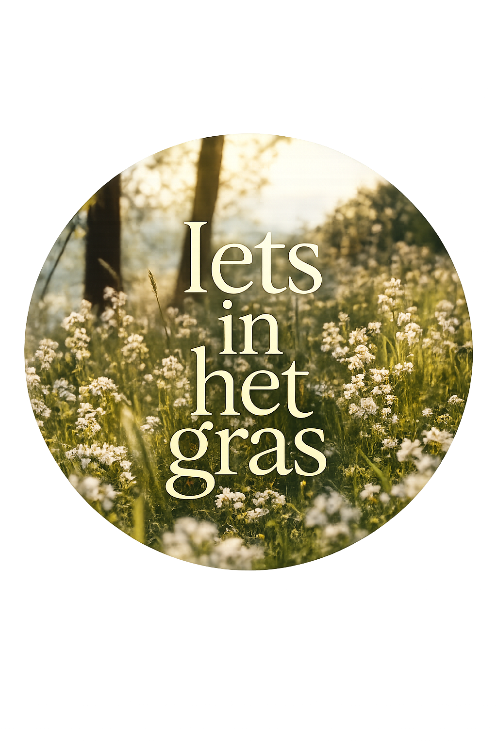 Iets in het gras